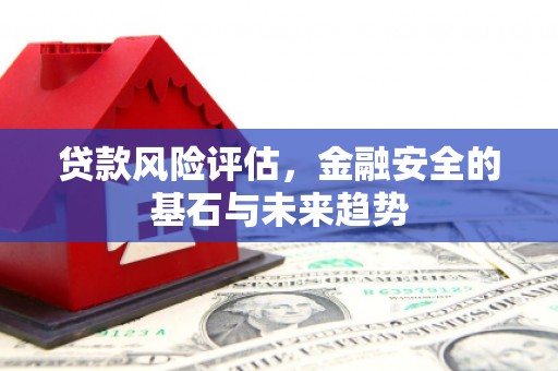 兴宾贷款风险评估，金融安全的基石与未来趋势