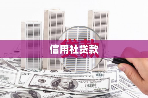 兴宾信用社贷款