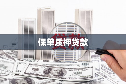 兴宾保单质押贷款