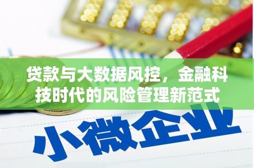 兴宾贷款与大数据风控，金融科技时代的风险管理新范式