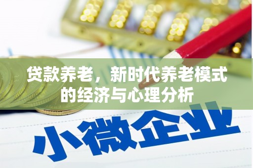 兴宾贷款养老，新时代养老模式的经济与心理分析