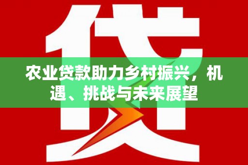 兴宾农业贷款助力乡村振兴，机遇、挑战与未来展望
