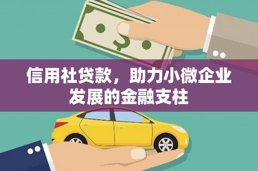 兴宾信用社贷款，助力小微企业发展的金融支柱