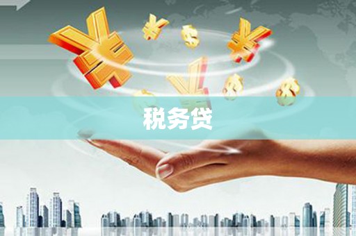 兴宾税务贷