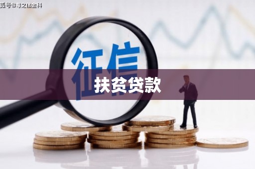 兴宾扶贫贷款
