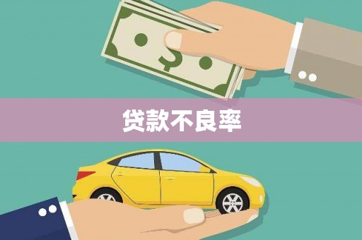 兴宾贷款不良率