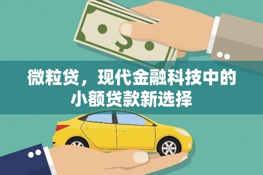 兴宾微粒贷，现代金融科技中的小额贷款新选择