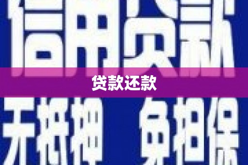 兴宾贷款还款
