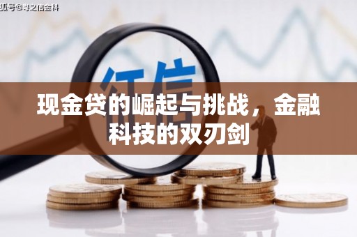 兴宾现金贷的崛起与挑战，金融科技的双刃剑