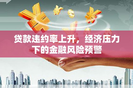 兴宾贷款违约率上升，经济压力下的金融风险预警