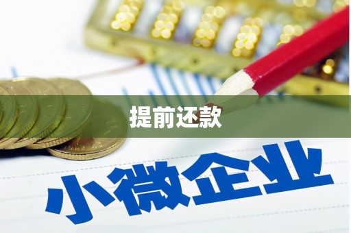 兴宾提前还款