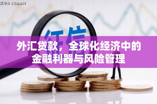 兴宾外汇贷款，全球化经济中的金融利器与风险管理