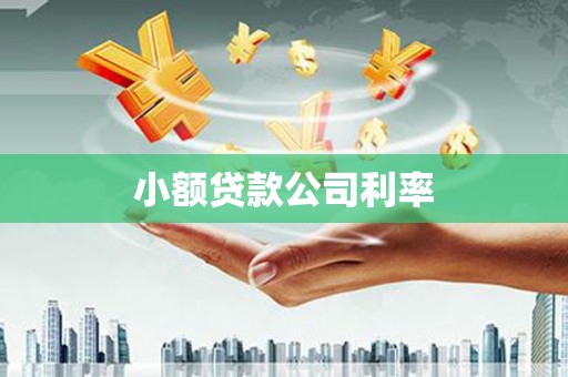 兴宾小额贷款公司利率