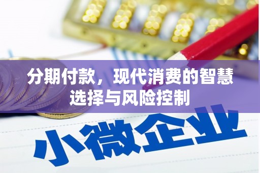兴宾分期付款，现代消费的智慧选择与风险控制