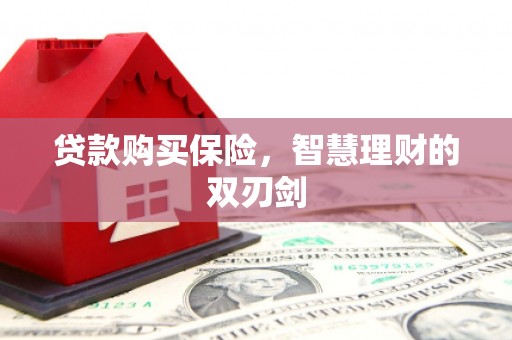 兴宾贷款购买保险，智慧理财的双刃剑