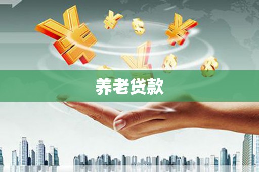 兴宾养老贷款