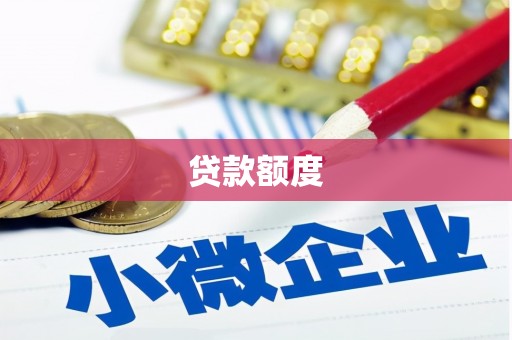 兴宾贷款额度