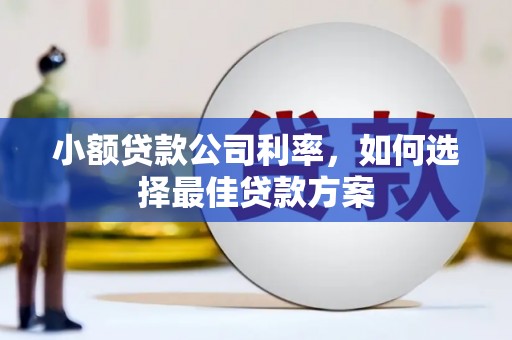 兴宾小额贷款公司利率，如何选择最佳贷款方案