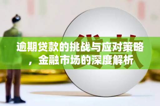 兴宾逾期贷款的挑战与应对策略，金融市场的深度解析