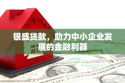 兴宾银盛贷款，助力中小企业发展的金融利器