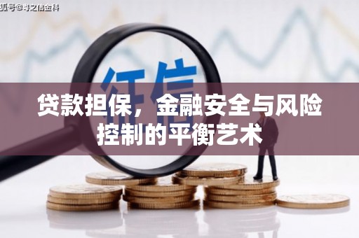 兴宾贷款担保，金融安全与风险控制的平衡艺术