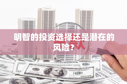 兴宾明智的投资选择还是潜在的风险？