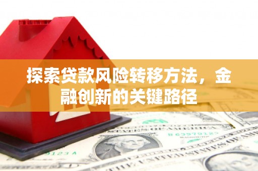 兴宾探索贷款风险转移方法，金融创新的关键路径