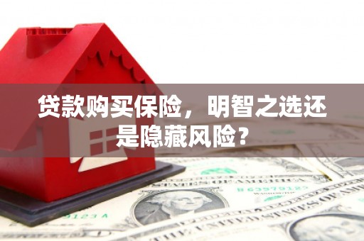 兴宾贷款购买保险，明智之选还是隐藏风险？