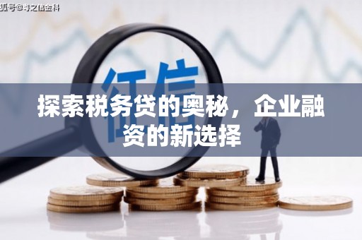 兴宾探索税务贷的奥秘，企业融资的新选择
