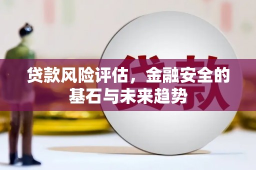 兴宾贷款风险评估，金融安全的基石与未来趋势