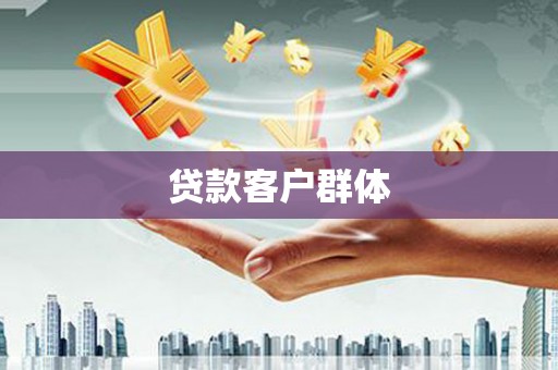 兴宾贷款客户群体