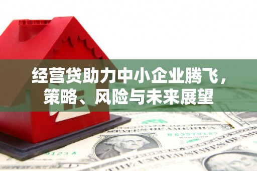 兴宾经营贷助力中小企业腾飞，策略、风险与未来展望