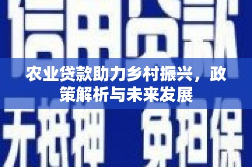 兴宾农业贷款助力乡村振兴，政策解析与未来发展