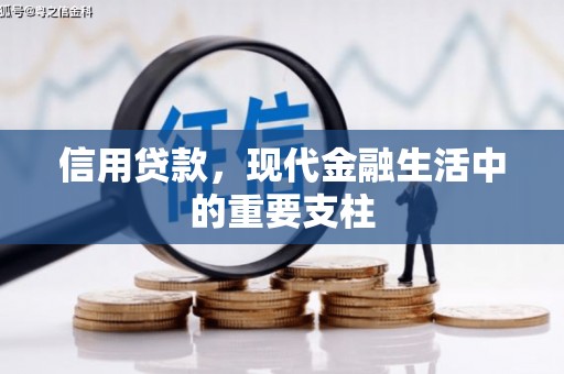 兴宾信用贷款，现代金融生活中的重要支柱