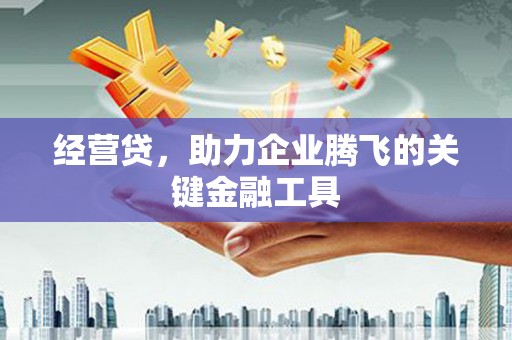 兴宾经营贷，助力企业腾飞的关键金融工具