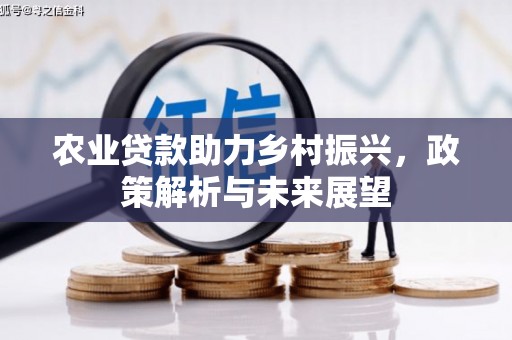 兴宾农业贷款助力乡村振兴，政策解析与未来展望