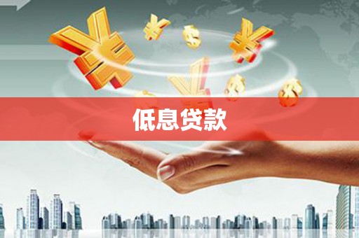 兴宾低息贷款