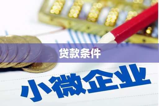兴宾贷款条件