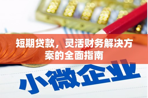 兴宾短期贷款，灵活财务解决方案的全面指南