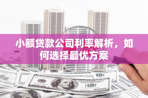 兴宾小额贷款公司利率解析，如何选择最优方案