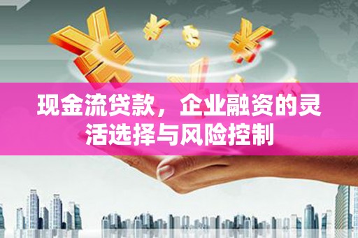 兴宾现金流贷款，企业融资的灵活选择与风险控制