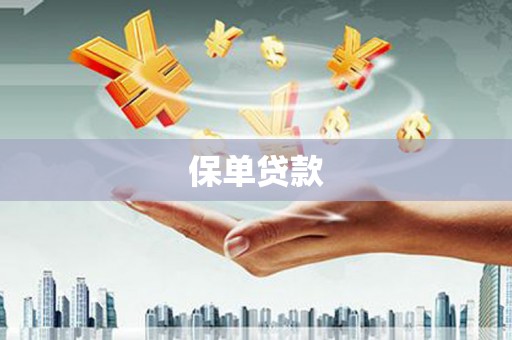 兴宾保单贷款