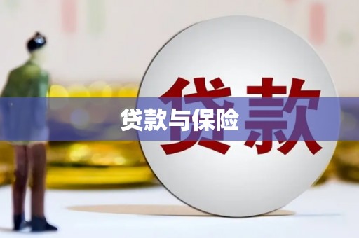 兴宾贷款与保险