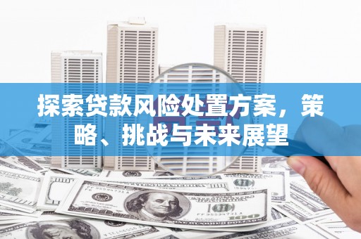兴宾探索贷款风险处置方案，策略、挑战与未来展望