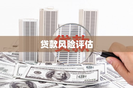 兴宾贷款风险评估