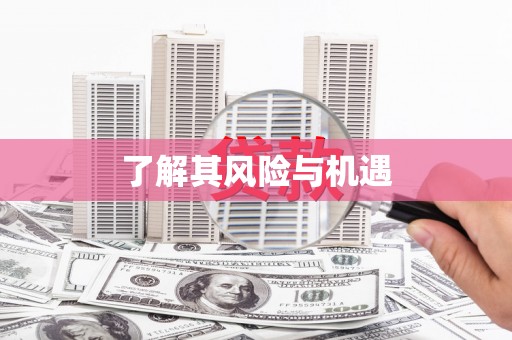 兴宾了解其风险与机遇