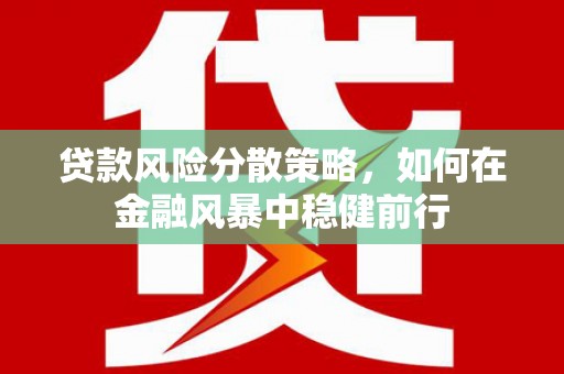 兴宾贷款风险分散策略，如何在金融风暴中稳健前行