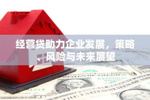 兴宾经营贷助力企业发展，策略、风险与未来展望
