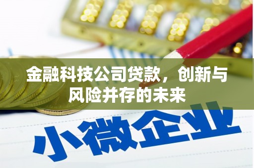 兴宾金融科技公司贷款，创新与风险并存的未来