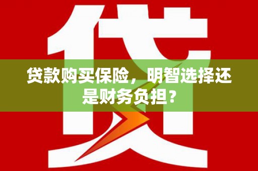 兴宾贷款购买保险，明智选择还是财务负担？